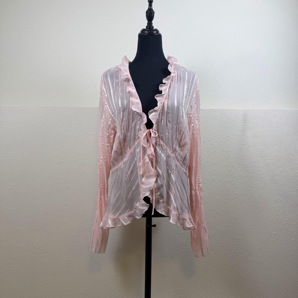 Vintage Dialogue Pink Sheer Ruffle Tie-Front Fairy Blouse — Size L